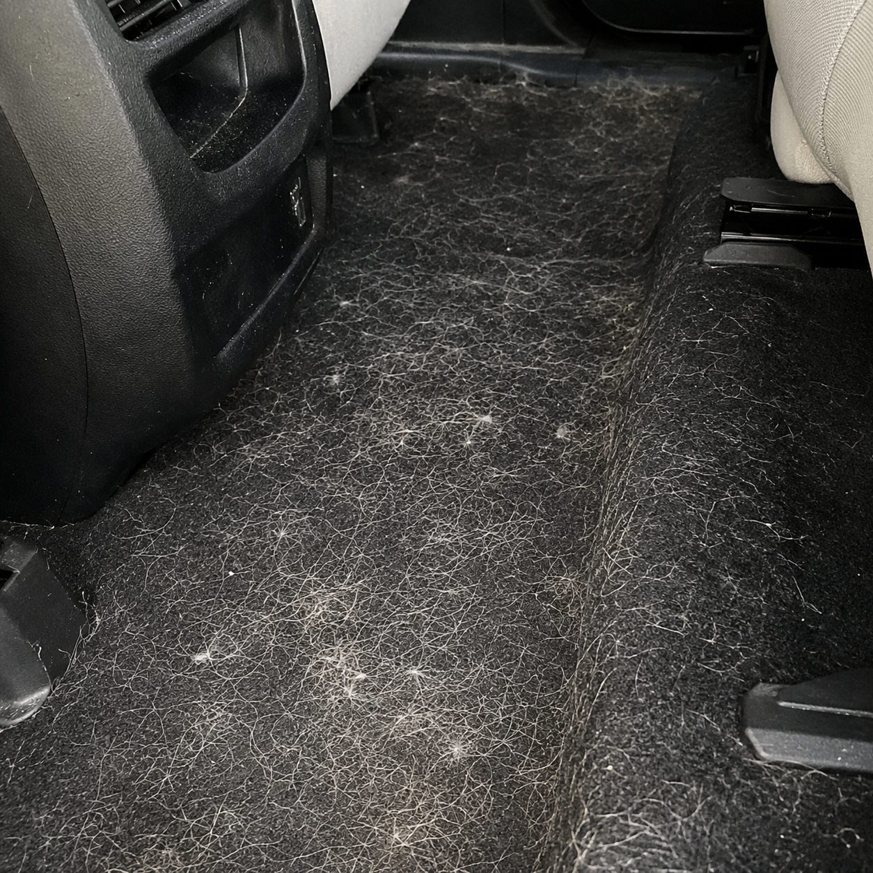 Heavy pet hair in black car carpet before interior detailing